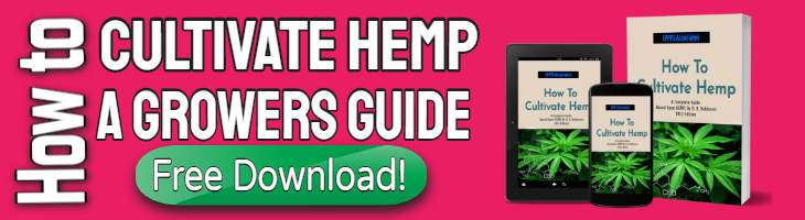 Hemp cultivation ebook download button.