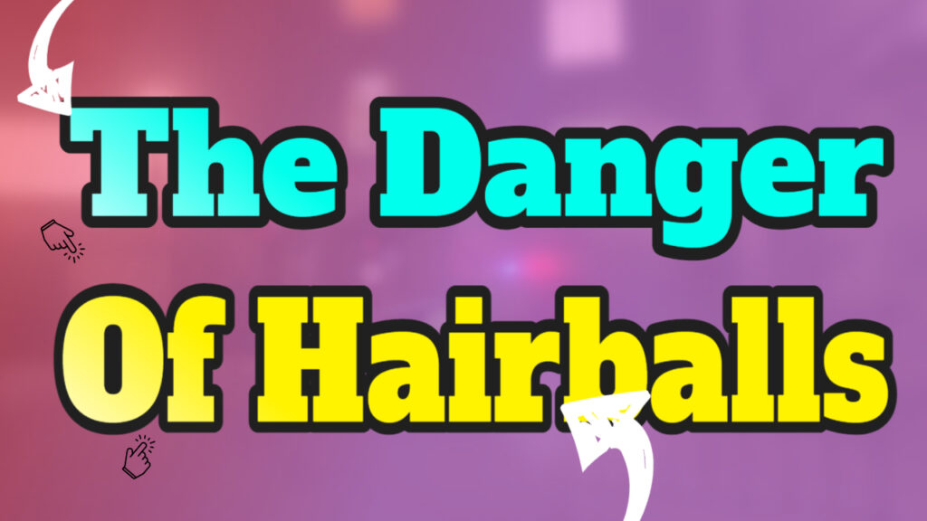 danger of hairballs picture
