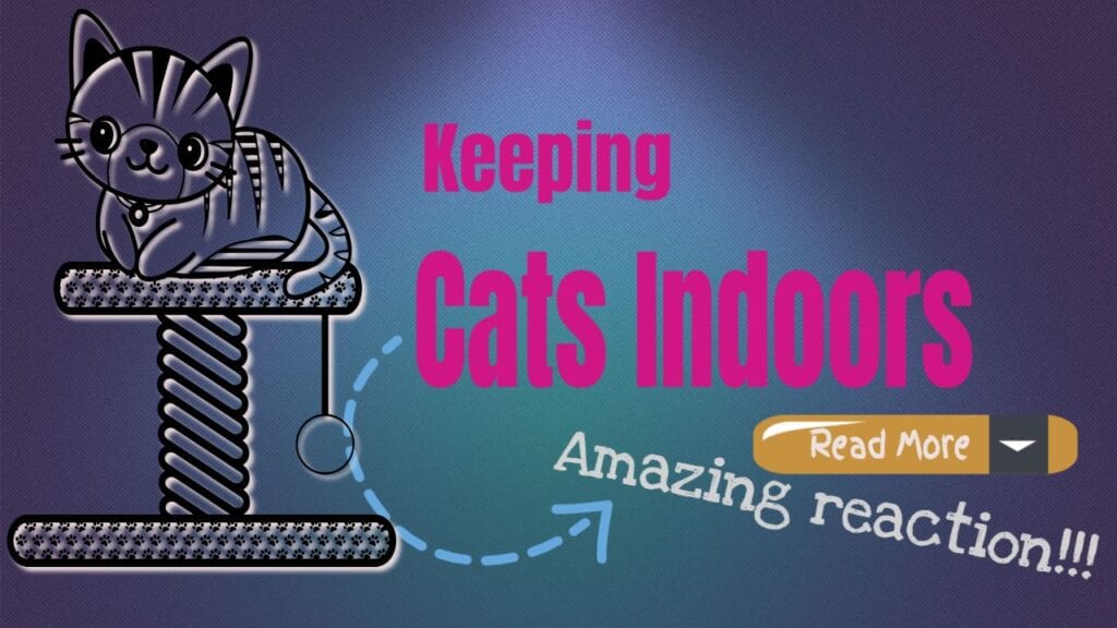 Keeping Cats Indoors