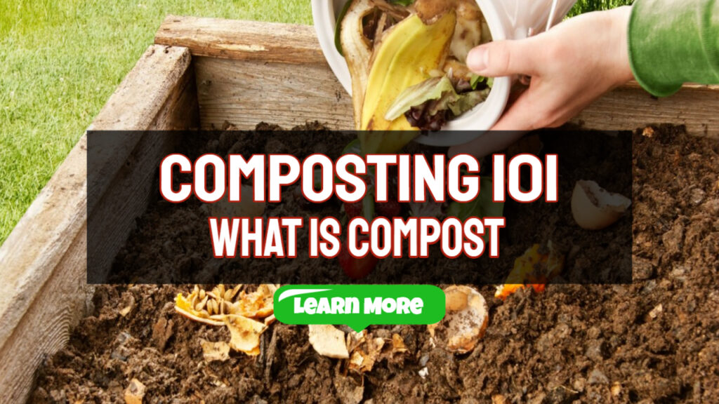 composting 101 what is compost
