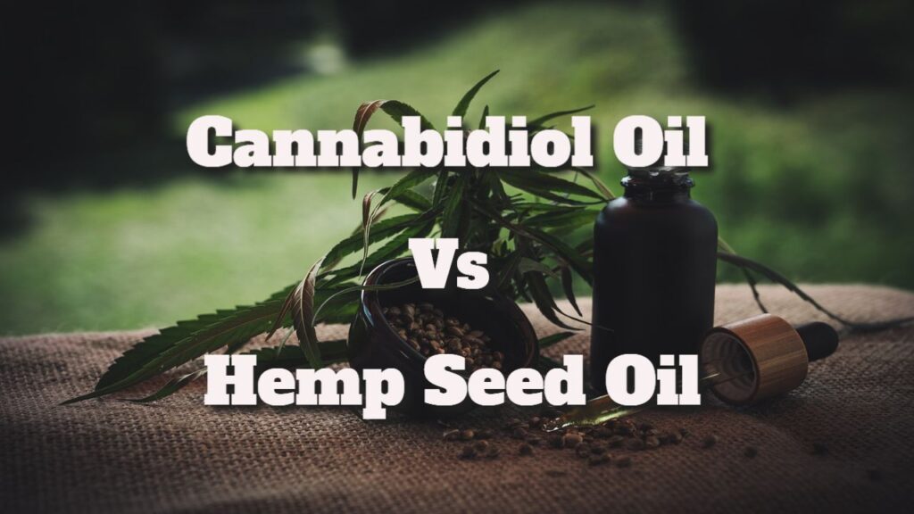 cannabidiol oil vs hemp seed oil