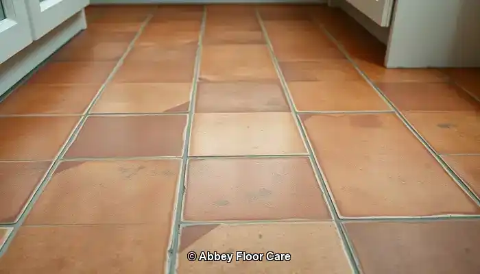 Identifying Factors That Contribute to Rapid Dirt Accumulation on Terracotta Floors